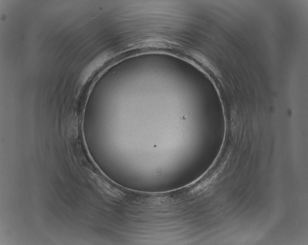 X0000074041067200608281439