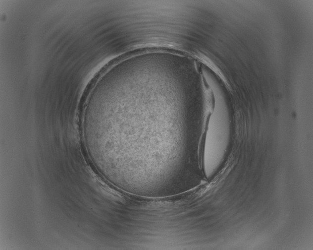 X0000074041068200608281439