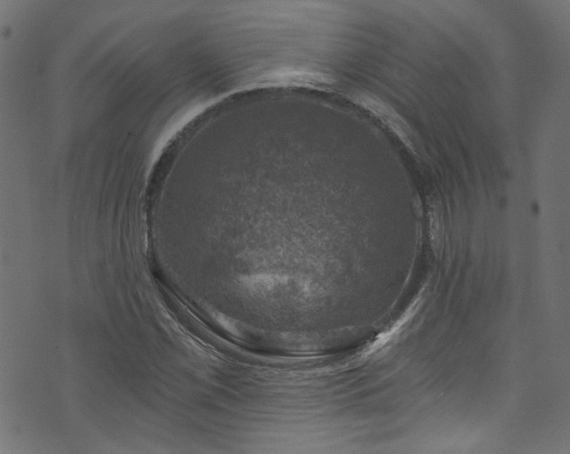 X0000074041069200608281439