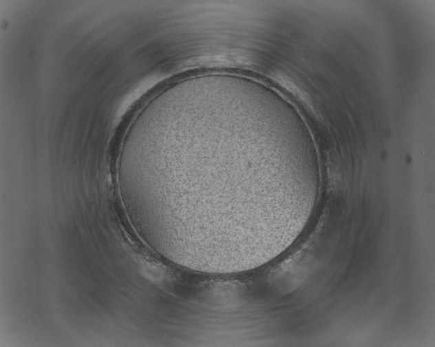 X0000074041070200608281439