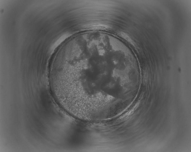 X0000074041071200608281439