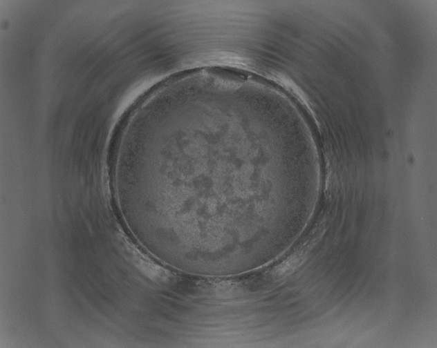 X0000074041072200608281439