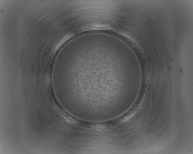 X0000074041073200608281439