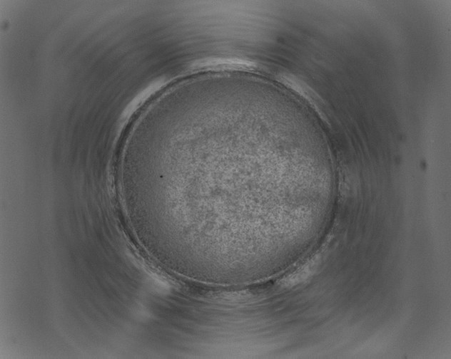 X0000074041074200608281439