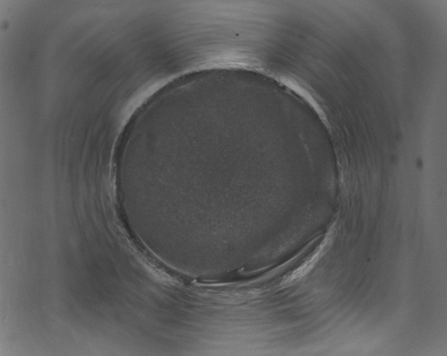 X0000074041077200608281439