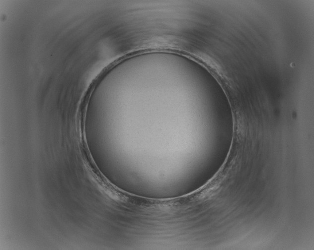 X0000074041078200608281439