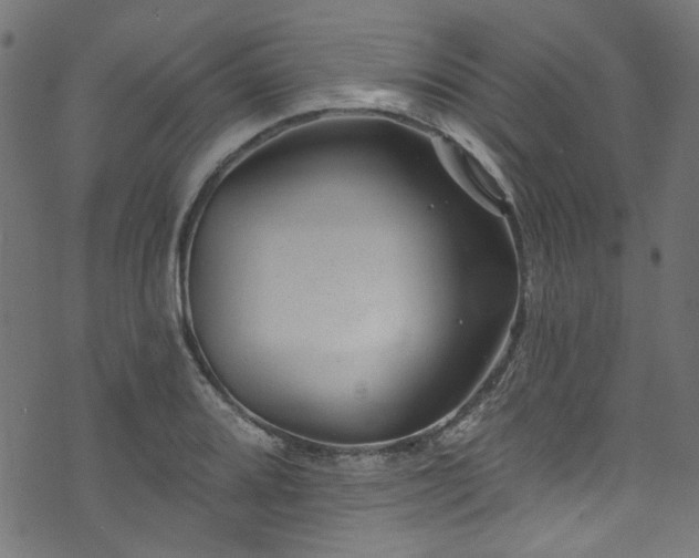 X0000074041080200608281439