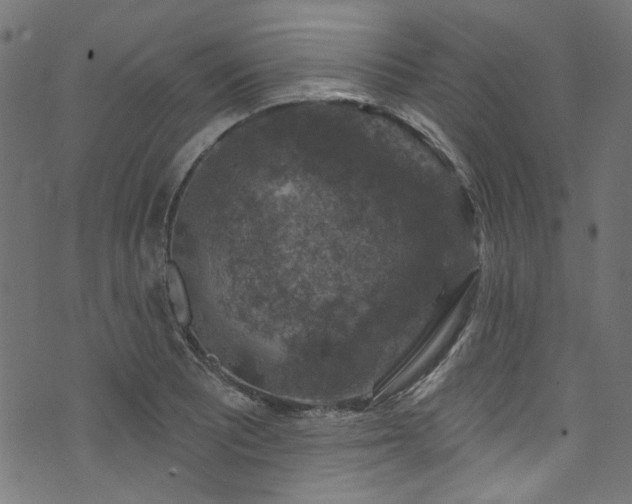 X0000074041081200608281439