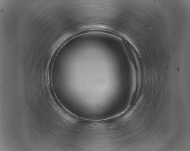 X0000074041082200608281439