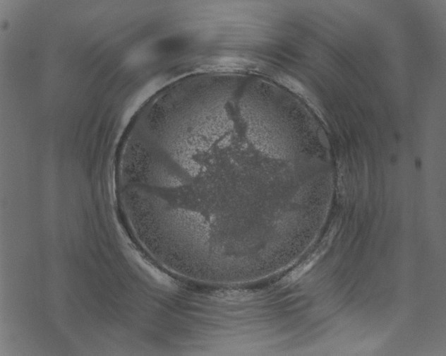 X0000074041083200608281439