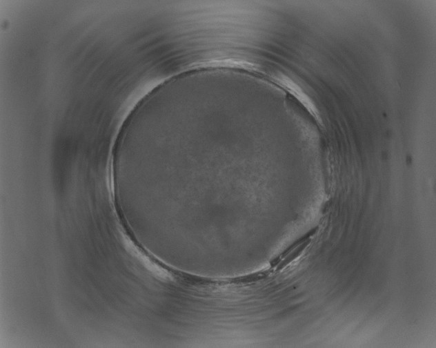 X0000074041084200608281439