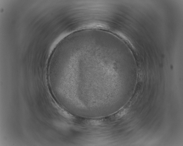 X0000074041086200608281439