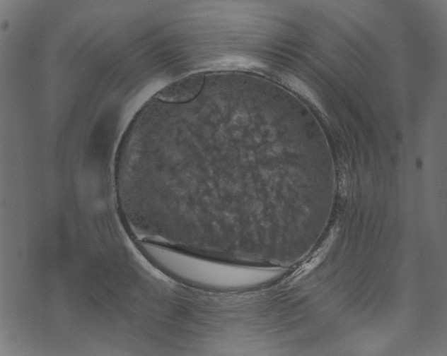 X0000074041087200608281439