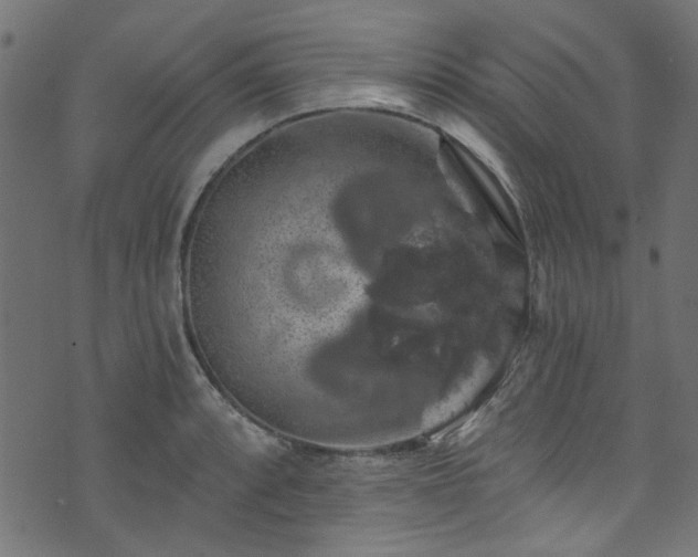 X0000074041088200608281438