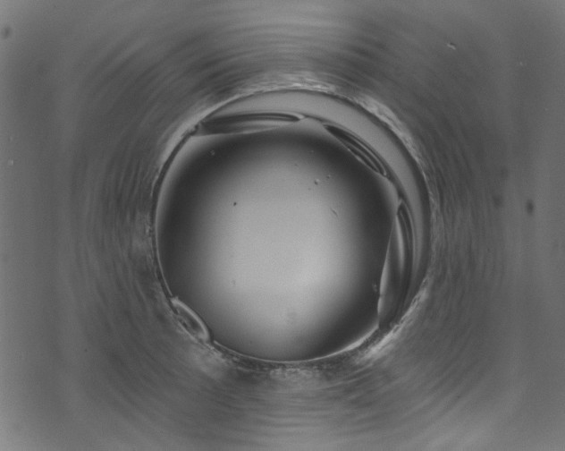 X0000074041089200608281438