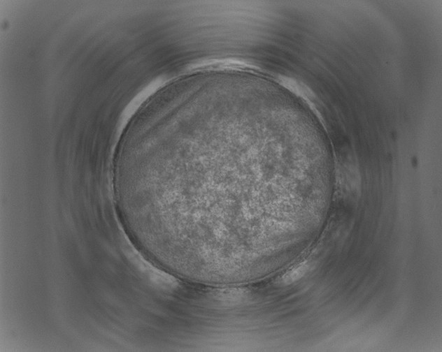 X0000074041090200608281438