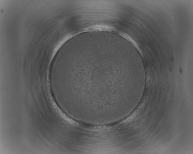 X0000074041091200608281438