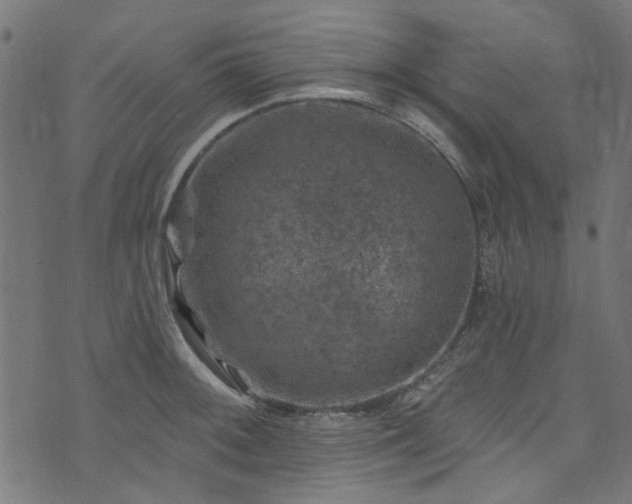 X0000074041092200608281438