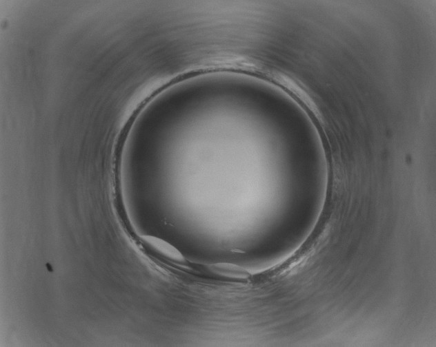 X0000074041093200608281438