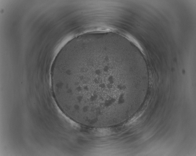 X0000074041095200608281438