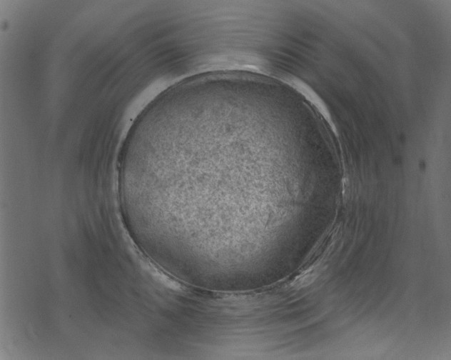 X0000074041096200608281438