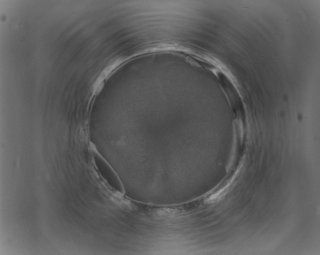 X0000074041097200608281438