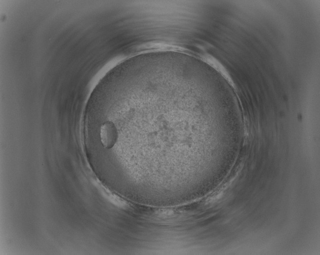 X0000074041098200608281438