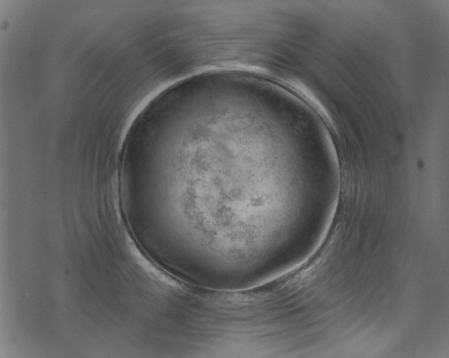 X0000074041100200608281438