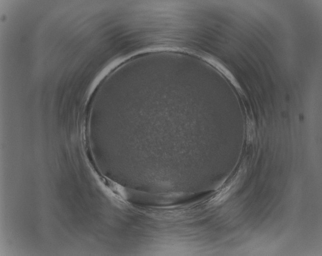 X0000074041101200608281438