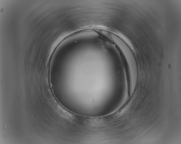 X0000074041102200608281438