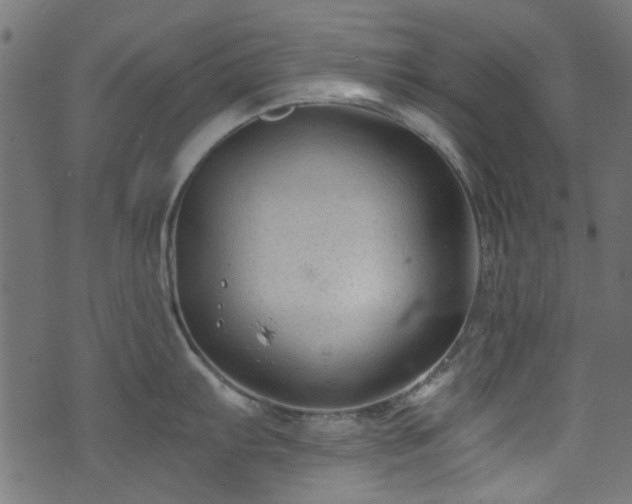 X0000074041103200608281438