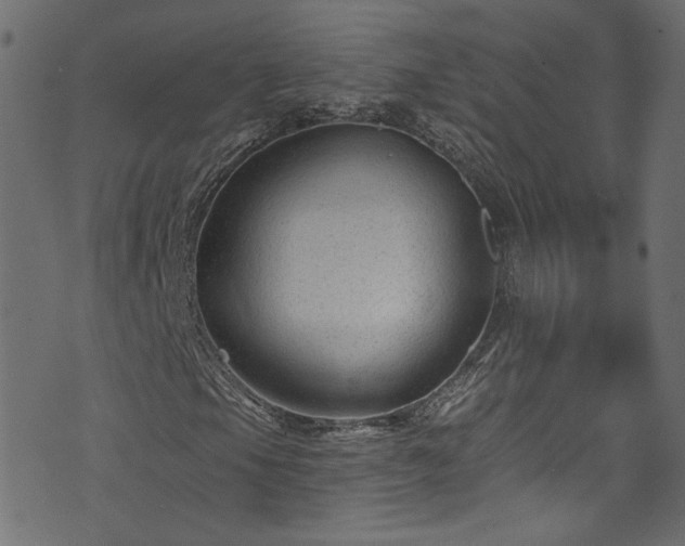 X0000074041105200608281437