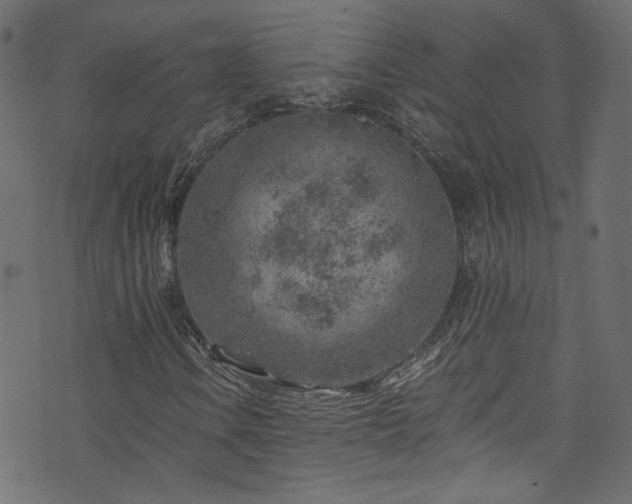 X0000074041106200608281437