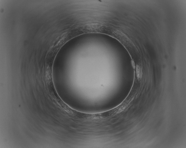 X0000074041107200608281437