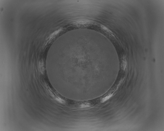 X0000074041108200608281438