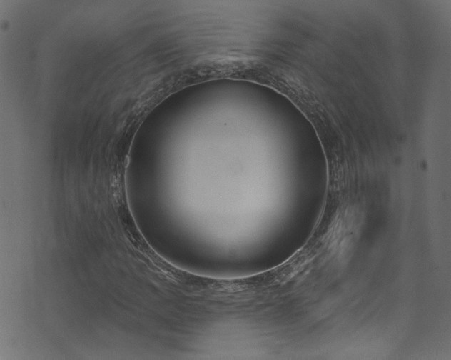 X0000074041109200608281438