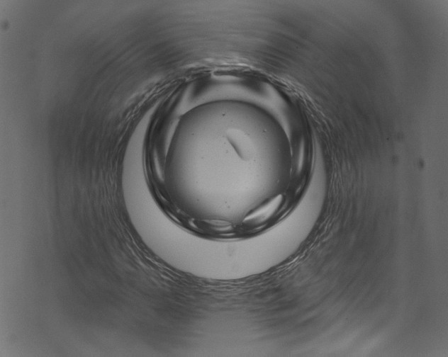 X0000074041110200608281438