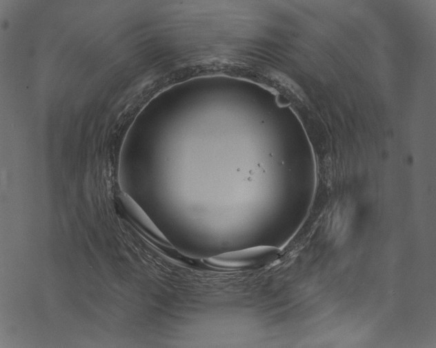 X0000074041111200608281438