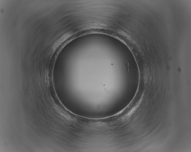 X0000074041113200608281438