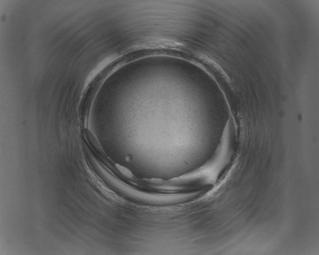 X0000074041114200608281438