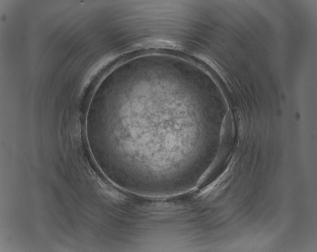 X0000074041115200608281438