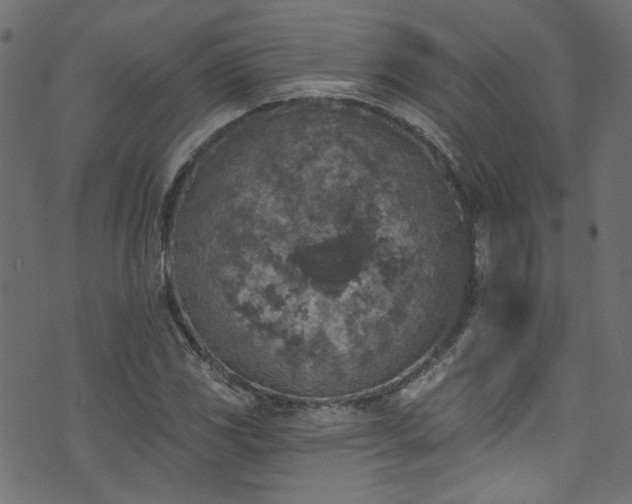 X0000074041117200608281438