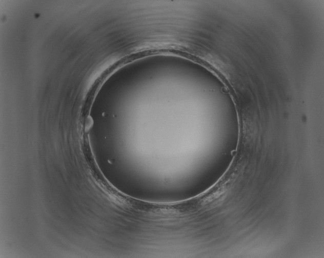 X0000074041119200608281438