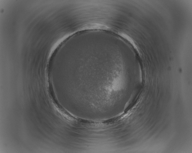 X0000074041120200608281438