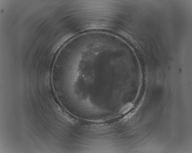 X0000074041121200608281438