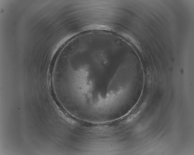 X0000074041125200608281438