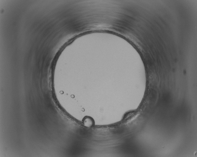 X0000074041126200608281438