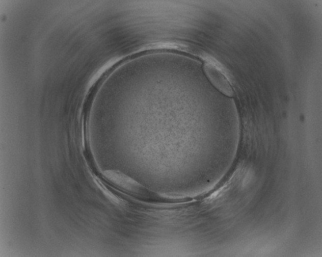 X0000074041127200608281438