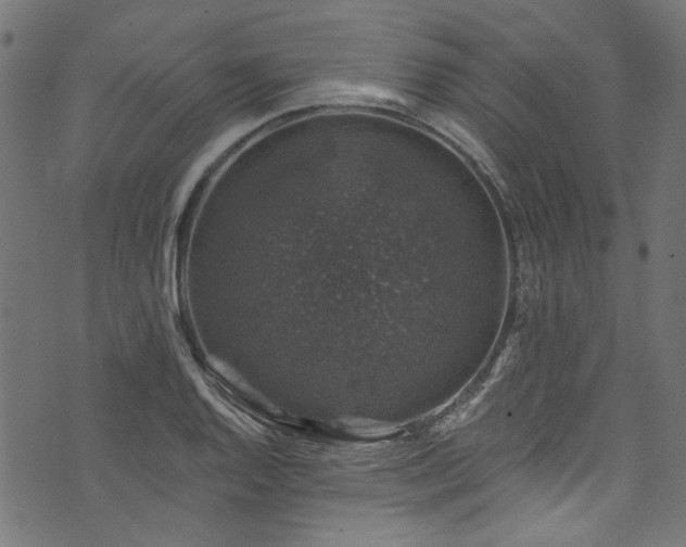 X0000074041128200608281438