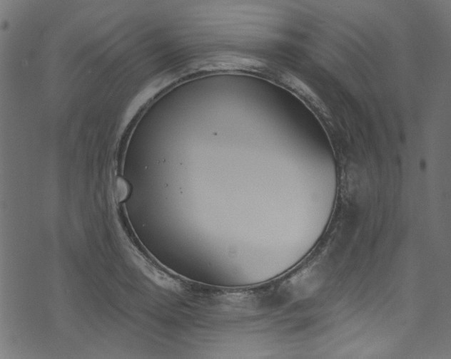 X0000074041130200608281438